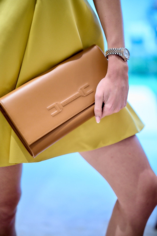 Elisabetta franchi acc Clutch