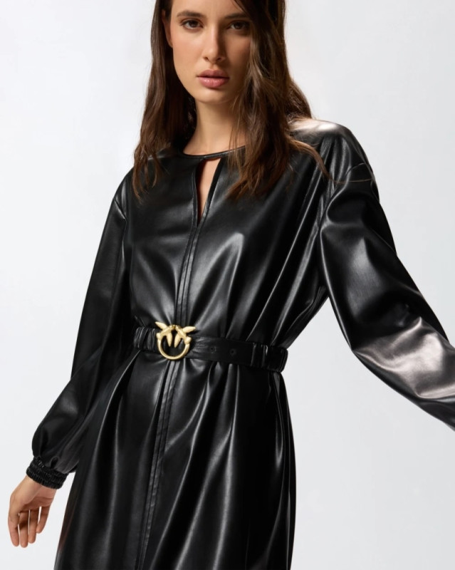 Pinko Kleed semipelle